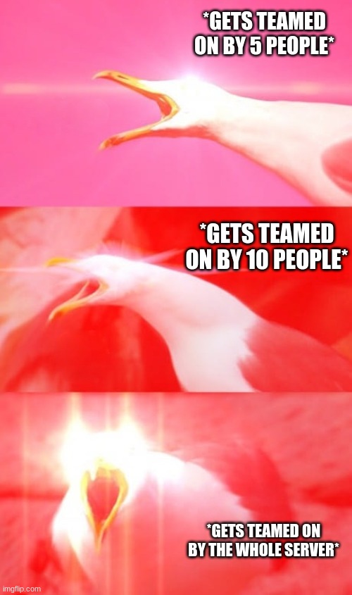 Inhaling Seagull Reply | *GETS TEAMED ON BY 5 PEOPLE*; *GETS TEAMED ON BY 10 PEOPLE*; *GETS TEAMED ON BY THE WHOLE SERVER* | image tagged in inhaling seagull reply | made w/ Imgflip meme maker