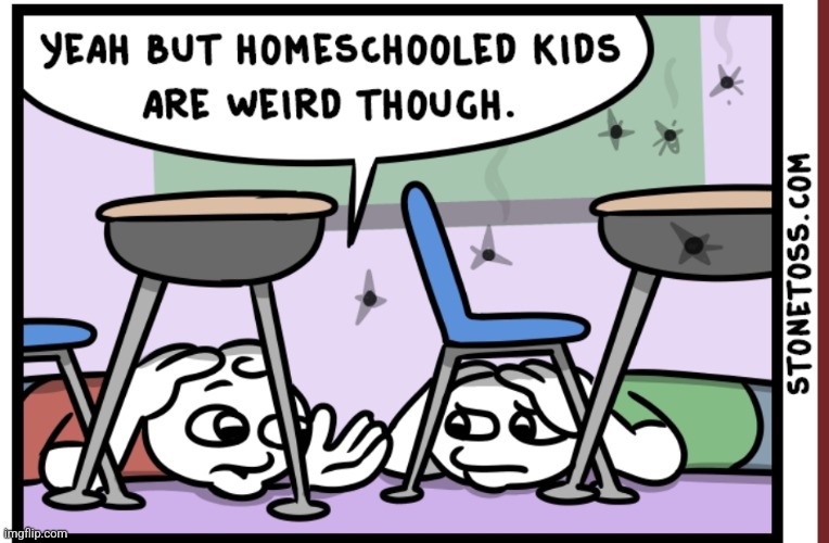 Home schooling | image tagged in home schooling,stonetoss | made w/ Imgflip meme maker