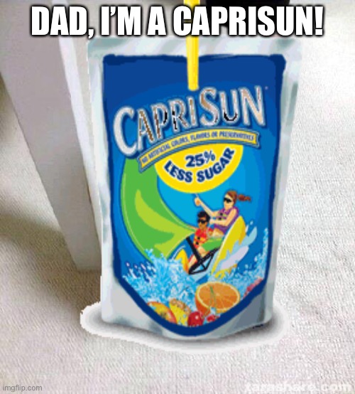 caprisun :> | DAD, I’M A CAPRISUN! | image tagged in drake hotline bling | made w/ Imgflip meme maker