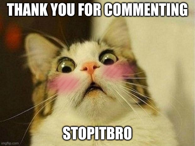 Scared Cat Meme | THANK YOU FOR COMMENTING; STOPITBRO | image tagged in memes,scared cat | made w/ Imgflip meme maker