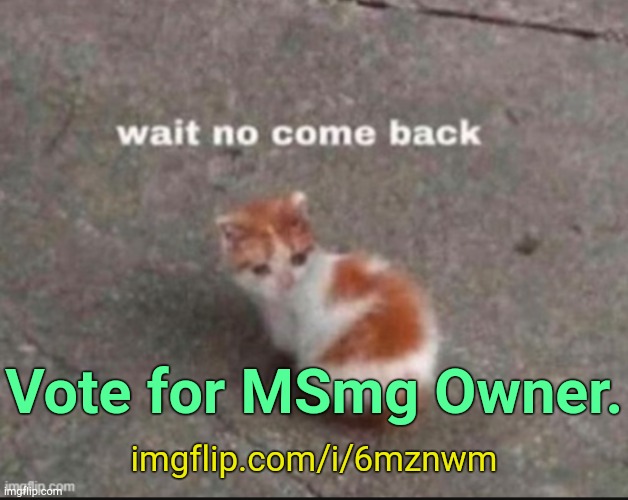 . | imgflip.com/i/6mznwm; Vote for MSmg Owner. | image tagged in wait no come back | made w/ Imgflip meme maker