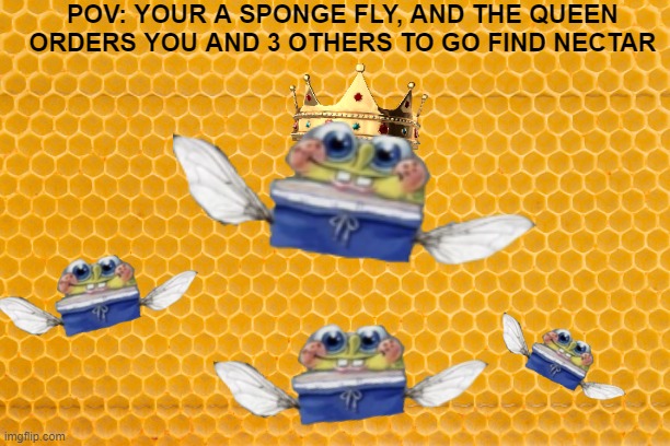joke rp | POV: YOUR A SPONGE FLY, AND THE QUEEN ORDERS YOU AND 3 OTHERS TO GO FIND NECTAR | image tagged in we have come for your nectar,sponge fly | made w/ Imgflip meme maker