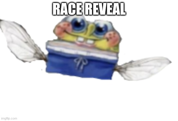 Spongefly | RACE REVEAL | image tagged in spongefly | made w/ Imgflip meme maker