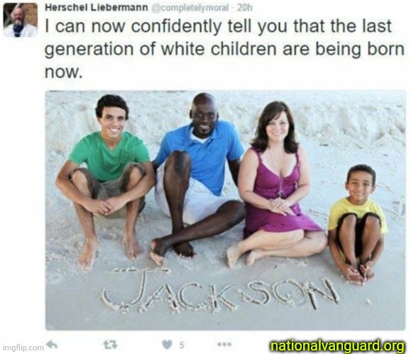 RACIAL MIXING IS WHITE GENOCIDE Blank Meme Template