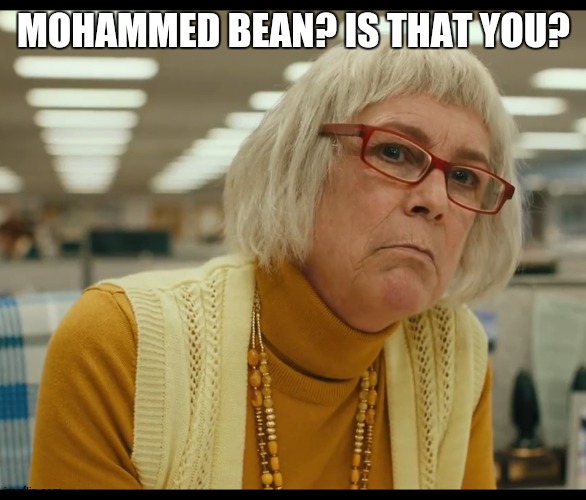 Auditor Bitch | MOHAMMED BEAN? IS THAT YOU? | image tagged in auditor bitch | made w/ Imgflip meme maker