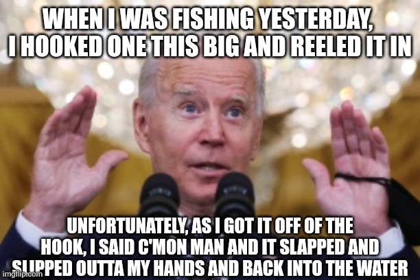 Jackass | WHEN I WAS FISHING YESTERDAY,  I HOOKED ONE THIS BIG AND REELED IT IN; UNFORTUNATELY, AS I GOT IT OFF OF THE HOOK, I SAID C'MON MAN AND IT SLAPPED AND SLIPPED OUTTA MY HANDS AND BACK INTO THE WATER | image tagged in president | made w/ Imgflip meme maker