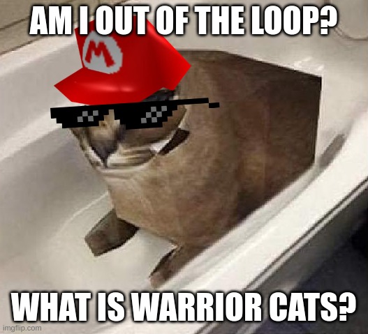 What is Warrior Cats? Is it some random webshow or a series of comics like Polandballs? |  AM I OUT OF THE LOOP? WHAT IS WARRIOR CATS? | made w/ Imgflip meme maker