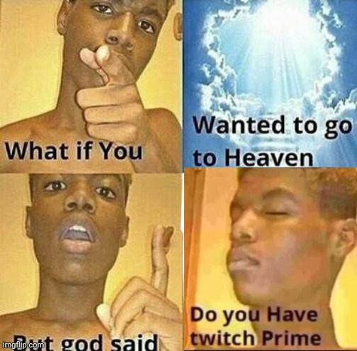 Do you have twitch prime? | image tagged in what if you wanted to go to heaven | made w/ Imgflip meme maker