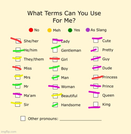 Pronouns Sheet | image tagged in pronouns sheet | made w/ Imgflip meme maker