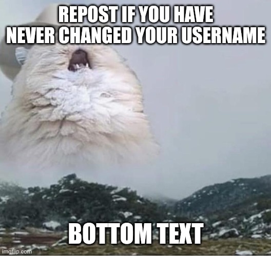 Image title | REPOST IF YOU HAVE NEVER CHANGED YOUR USERNAME; BOTTOM TEXT | image tagged in tags | made w/ Imgflip meme maker