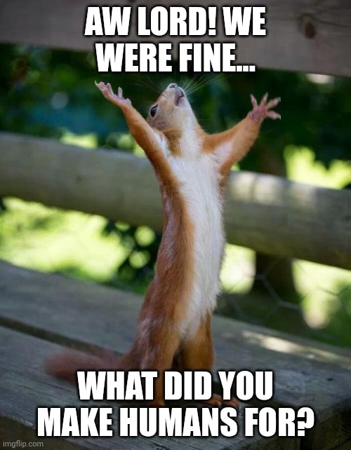 Happy Squirrel | AW LORD! WE WERE FINE... WHAT DID YOU MAKE HUMANS FOR? | image tagged in happy squirrel | made w/ Imgflip meme maker