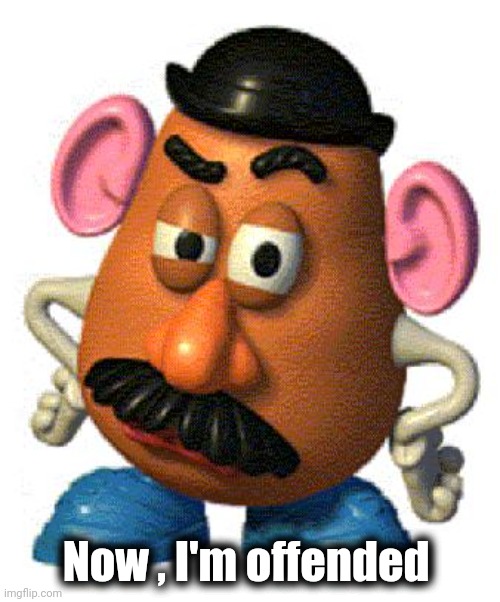 Mr Potato Head | Now , I'm offended | image tagged in mr potato head | made w/ Imgflip meme maker