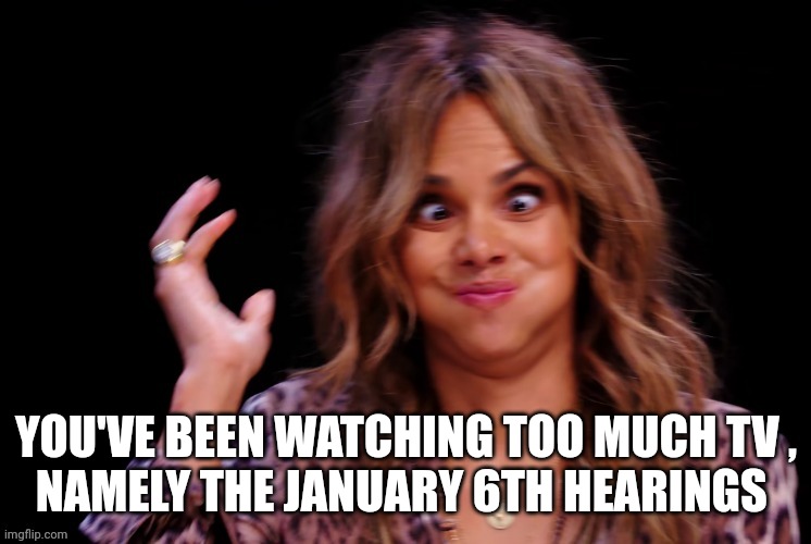 Boof ! | YOU'VE BEEN WATCHING TOO MUCH TV ,
NAMELY THE JANUARY 6TH HEARINGS | image tagged in boof | made w/ Imgflip meme maker