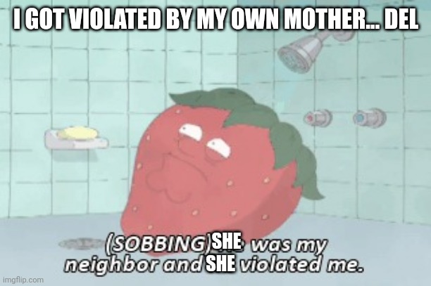 He was my neighbor and he violated me | I GOT VIOLATED BY MY OWN MOTHER... DEL; SHE; SHE | image tagged in i got violated | made w/ Imgflip meme maker