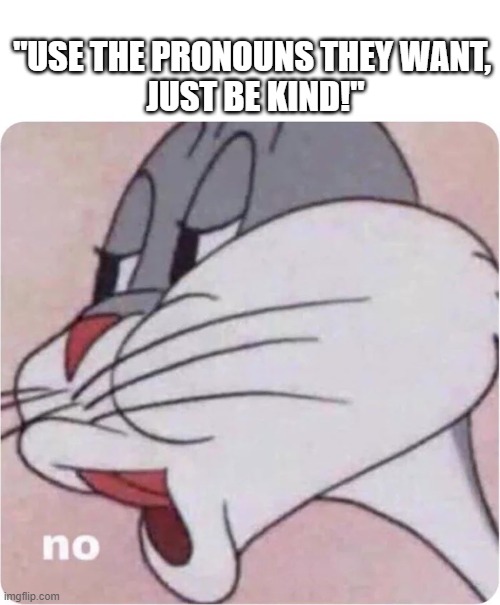 Bugs Bunny No | "USE THE PRONOUNS THEY WANT,
 JUST BE KIND!" | image tagged in bugs bunny no | made w/ Imgflip meme maker