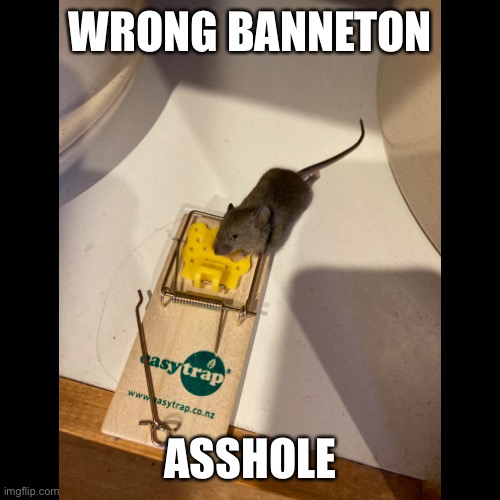 Wrong Banneton | WRONG BANNETON; ASSHOLE | image tagged in mouse,bourgeois | made w/ Imgflip meme maker