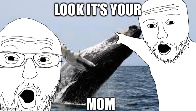 I know this joke sucks |  LOOK IT’S YOUR; MOM | image tagged in whale,your mom,bad joke | made w/ Imgflip meme maker