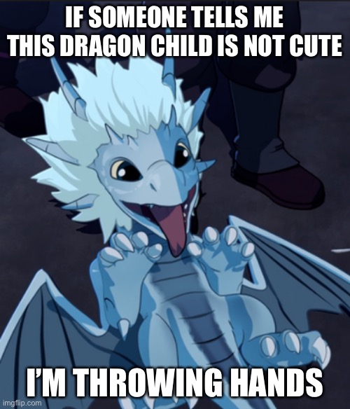 IF SOMEONE TELLS ME THIS DRAGON CHILD IS NOT CUTE; I’M THROWING HANDS | made w/ Imgflip meme maker
