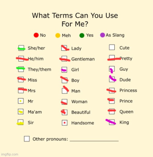 I did it since idk | image tagged in pronouns sheet | made w/ Imgflip meme maker