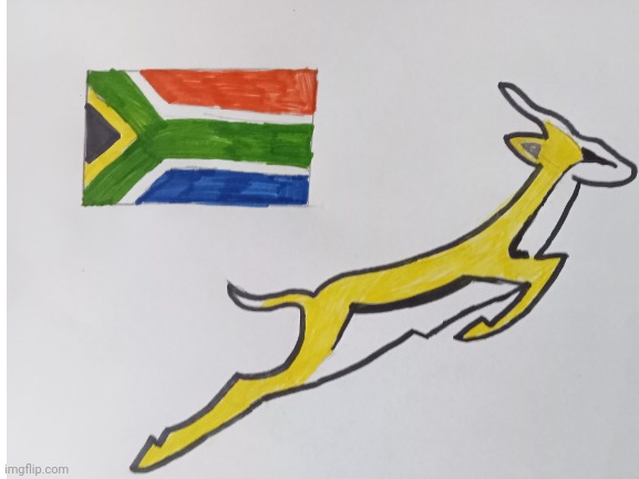 SPRINGBOKS!! | made w/ Imgflip meme maker