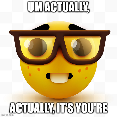 Nerd emoji | UM ACTUALLY, ACTUALLY, IT'S YOU'RE | image tagged in nerd emoji | made w/ Imgflip meme maker