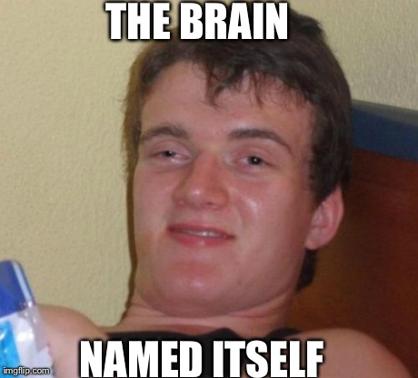 10 Guy Meme | THE BRAIN  NAMED ITSELF | image tagged in memes,10 guy,AdviceAnimals | made w/ Imgflip meme maker