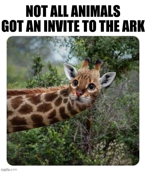 Sorry buddy | NOT ALL ANIMALS GOT AN INVITE TO THE ARK | image tagged in dank,christian,memes,r/dankchristianmemes | made w/ Imgflip meme maker