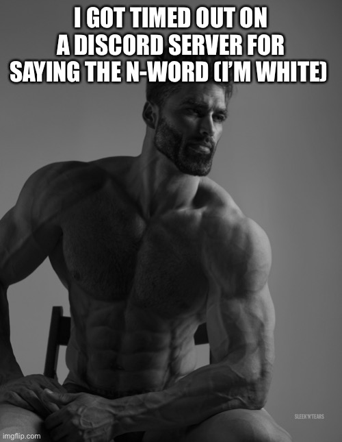 FEAR ME | I GOT TIMED OUT ON A DISCORD SERVER FOR SAYING THE N-WORD (I’M WHITE) | image tagged in giga chad | made w/ Imgflip meme maker