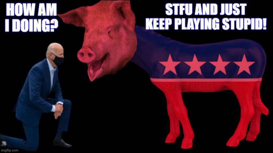 How Am I Doing? | STFU AND JUST KEEP PLAYING STUPID! HOW AM I DOING? | image tagged in pigs,how am i doing,joe biden 2020,government corruption,cover ups,lies to try and bury trump | made w/ Imgflip meme maker