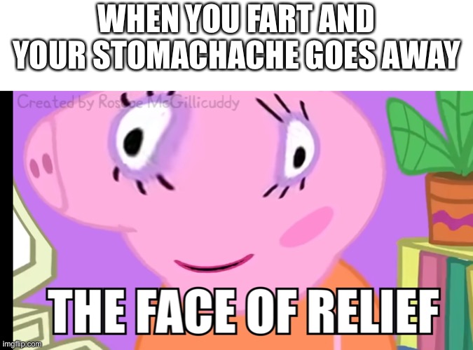 The image is from Roscoe McGillicuddy’s latest video: Mommy Pig plays Wii Sports | WHEN YOU FART AND YOUR STOMACHACHE GOES AWAY | image tagged in i need a tag so here you go | made w/ Imgflip meme maker