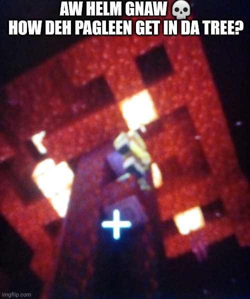 I'll post more Minecraft screenshots soon | AW HELM GNAW 💀

HOW DEH PAGLEEN GET IN DA TREE? | made w/ Imgflip meme maker