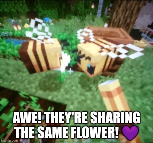 Awwweeee!!!! | AWE! THEY'RE SHARING THE SAME FLOWER! 💜 | made w/ Imgflip meme maker