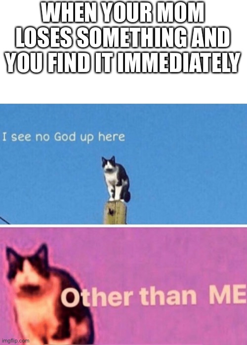 happened to me today | WHEN YOUR MOM LOSES SOMETHING AND YOU FIND IT IMMEDIATELY | image tagged in i see no god up here other than me,fun | made w/ Imgflip meme maker