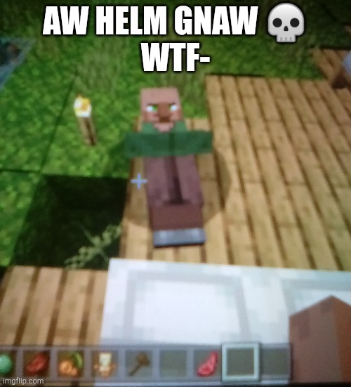 This is an old screenshot by the way | AW HELM GNAW 💀
WTF- | made w/ Imgflip meme maker