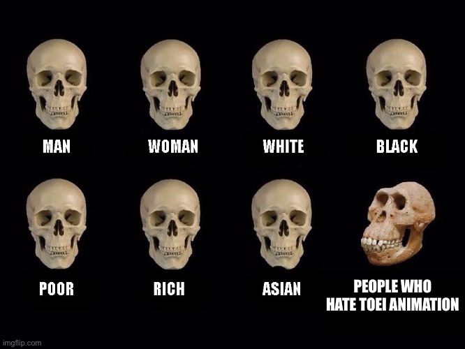 empty skulls of truth |  PEOPLE WHO HATE TOEI ANIMATION | image tagged in empty skulls of truth | made w/ Imgflip meme maker
