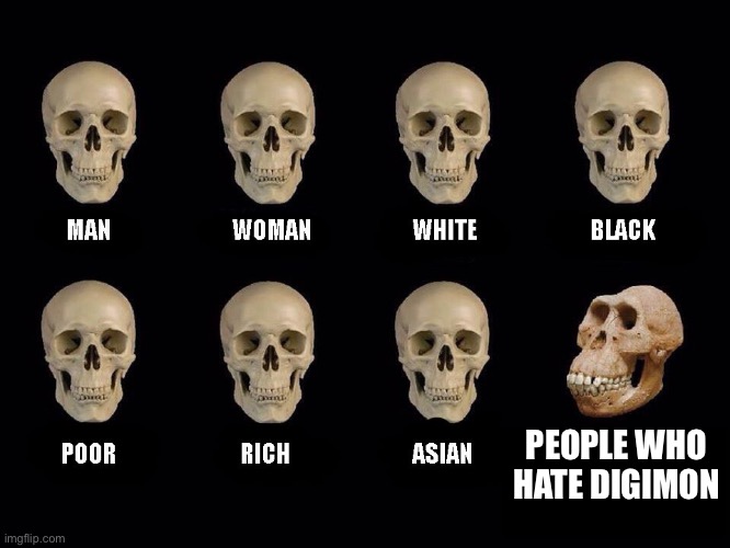 empty skulls of truth | PEOPLE WHO HATE DIGIMON | image tagged in empty skulls of truth | made w/ Imgflip meme maker