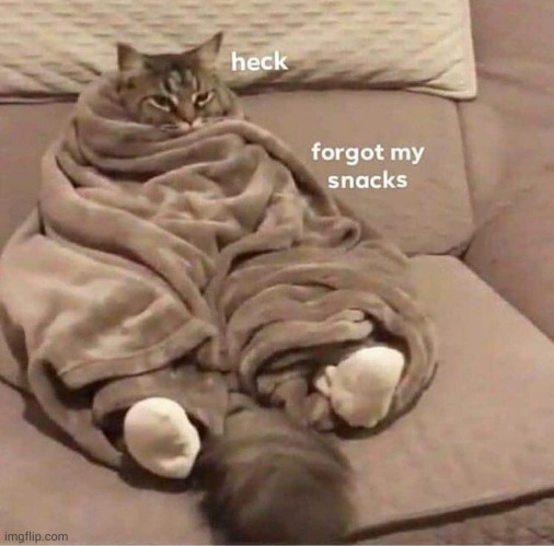 gn chat | image tagged in forgot my snacks | made w/ Imgflip meme maker
