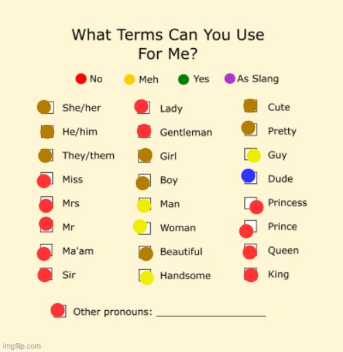 prefered name is Rose | image tagged in pronouns sheet,rose | made w/ Imgflip meme maker