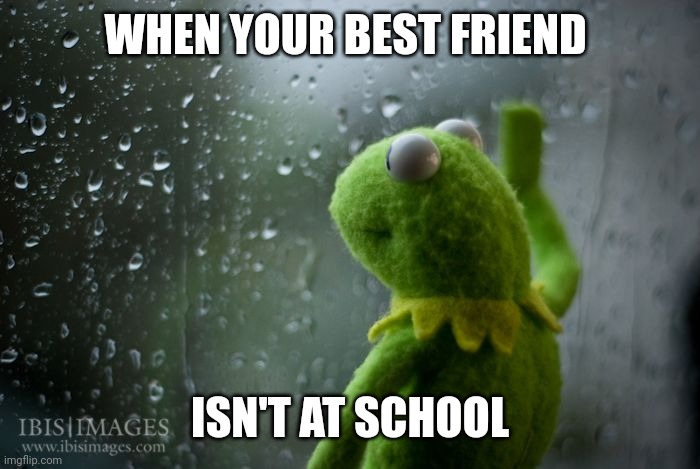 kermit window | WHEN YOUR BEST FRIEND; ISN'T AT SCHOOL | image tagged in kermit window | made w/ Imgflip meme maker