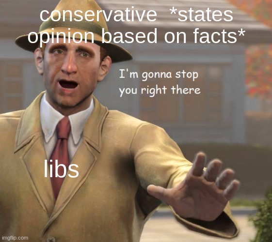 im gonna stop you right there | conservative  *states opinion based on facts* libs | image tagged in im gonna stop you right there | made w/ Imgflip meme maker