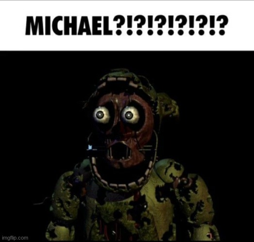 michael?!?!?!?!?!??!!?? | image tagged in fnaf,five nights at freddys,five nights at freddy's | made w/ Imgflip meme maker