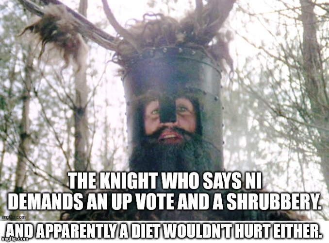 AND APPARENTLY A DIET WOULDN'T HURT EITHER. | made w/ Imgflip meme maker