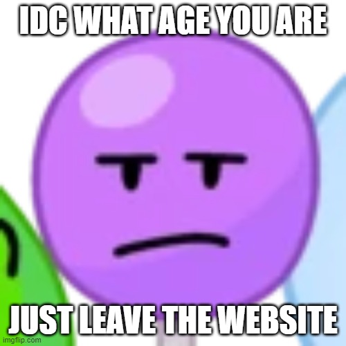 IDC WHAT AGE YOU ARE; JUST LEAVE THE WEBSITE | made w/ Imgflip meme maker