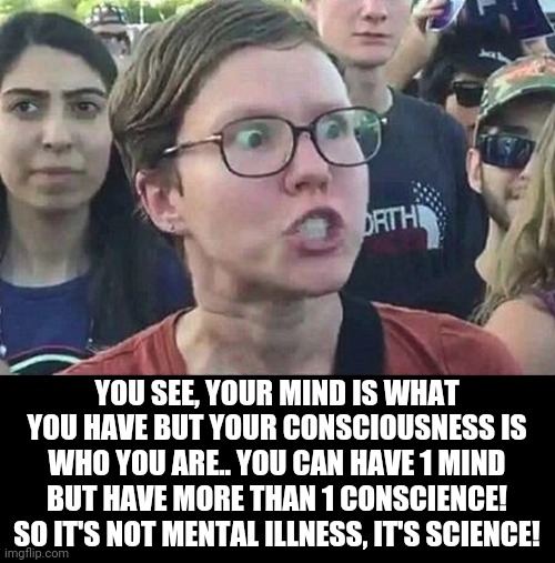 Triggered Liberal | YOU SEE, YOUR MIND IS WHAT YOU HAVE BUT YOUR CONSCIOUSNESS IS WHO YOU ARE.. YOU CAN HAVE 1 MIND BUT HAVE MORE THAN 1 CONSCIENCE! SO IT'S NOT | image tagged in triggered liberal | made w/ Imgflip meme maker