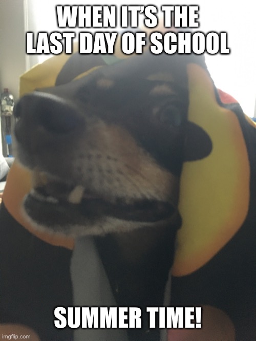 summer | WHEN IT’S THE LAST DAY OF SCHOOL; SUMMER TIME! | image tagged in summer | made w/ Imgflip meme maker