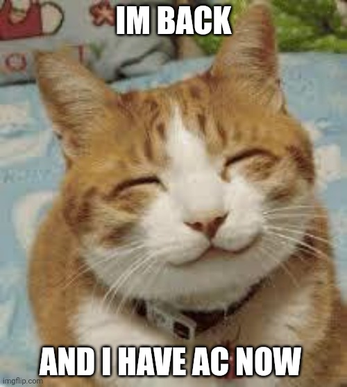 Happy cat | IM BACK; AND I HAVE AC NOW | image tagged in happy cat | made w/ Imgflip meme maker