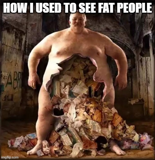 HOW I USED TO SEE FAT PEOPLE | image tagged in memes | made w/ Imgflip meme maker
