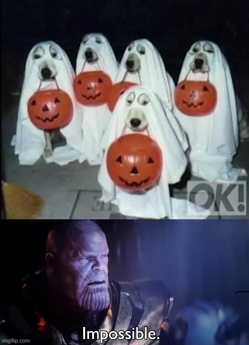dogs on Halloween | image tagged in thanos impossible | made w/ Imgflip meme maker