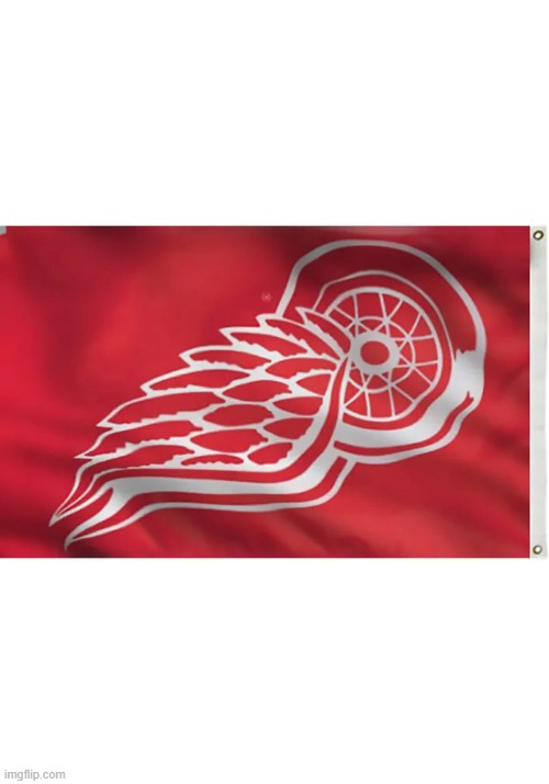 Veterans View of the Detroit Red Wings | image tagged in veterans view of the detroit red wings | made w/ Imgflip meme maker