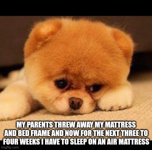 sad dog | MY PARENTS THREW AWAY MY MATTRESS AND BED FRAME AND NOW FOR THE NEXT THREE TO FOUR WEEKS I HAVE TO SLEEP ON AN AIR MATTRESS | image tagged in sad dog | made w/ Imgflip meme maker